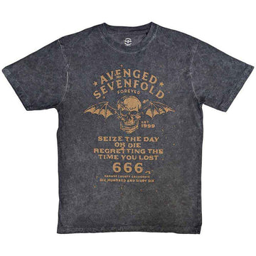 Avenged Sevenfold Unisex T-Shirt: Seize The Day (Black) (Wash Collection)