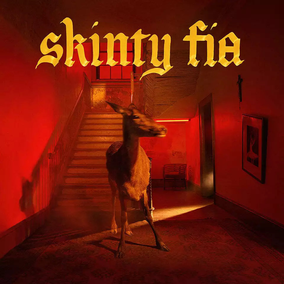 Fontaines dc skinty fia vinyl