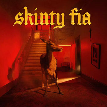 Fontaines dc skinty fia vinyl